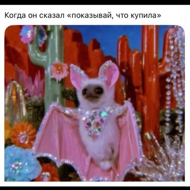 Кажется, мы потеряли связь с космосом (и обрели мемы)