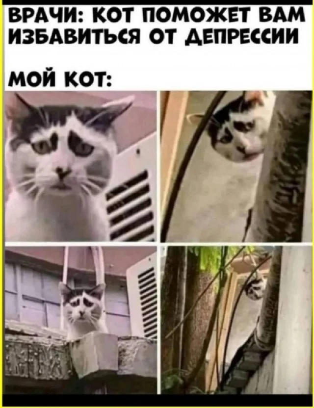 Классные мемы