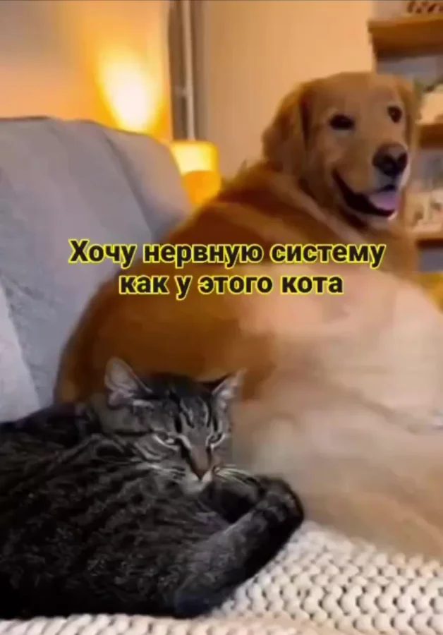 Когда твои нервы крепче стали