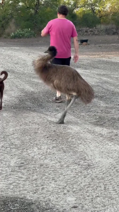 Когда твой друг экстраверт