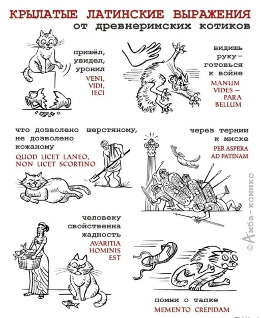 Коты поднимающие настроение