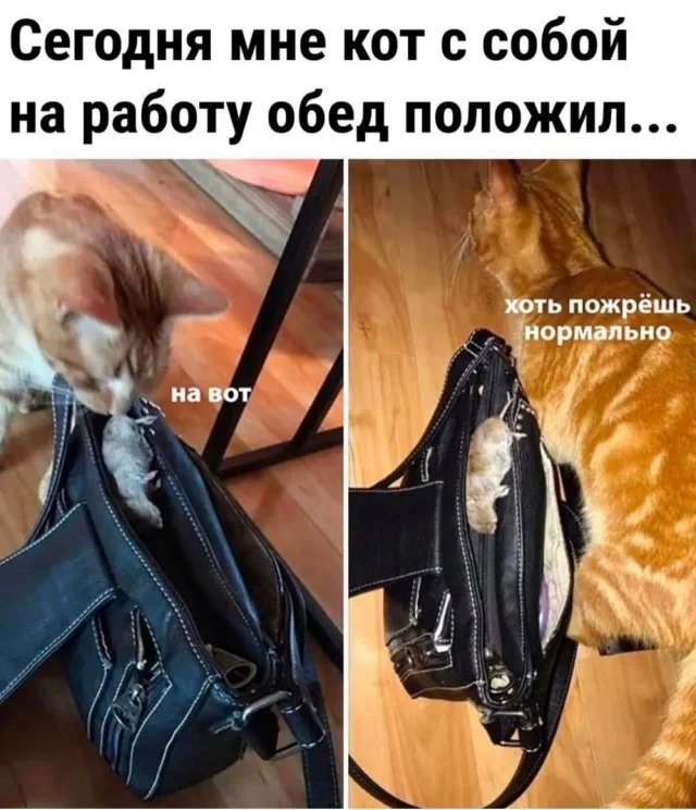  UCrazy