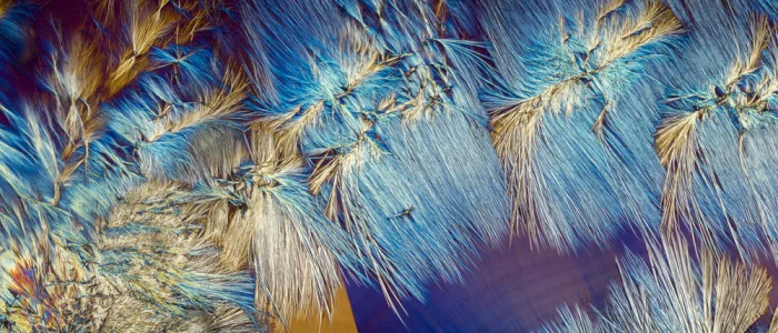 Микромир повседневности: как выглядят привычные нам вещества под микроскопом