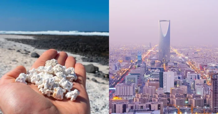 Мир, который вы не знали: парадокс рек, гравитация Шри-Ланки и другие географические аномалии