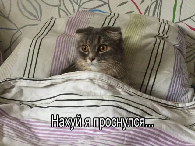 Моменты, когда жизнь теряет цвет