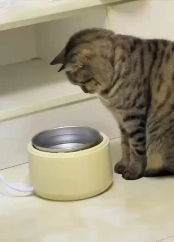 Надо полы помыть, срочно!