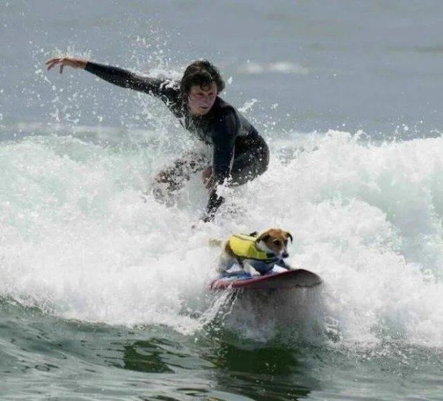 Намешалось: Красивые и интересные картинки