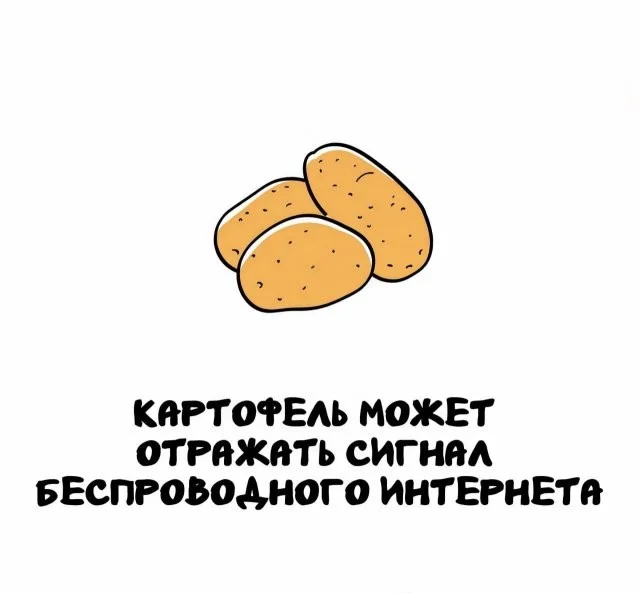 Немного интересных фактов
