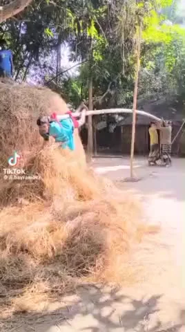 Новейшие достижения