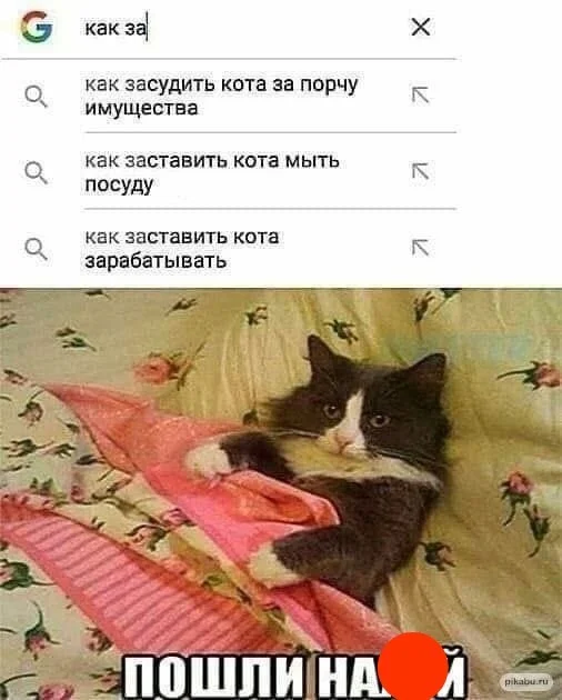 Обратная эволюция в мемах