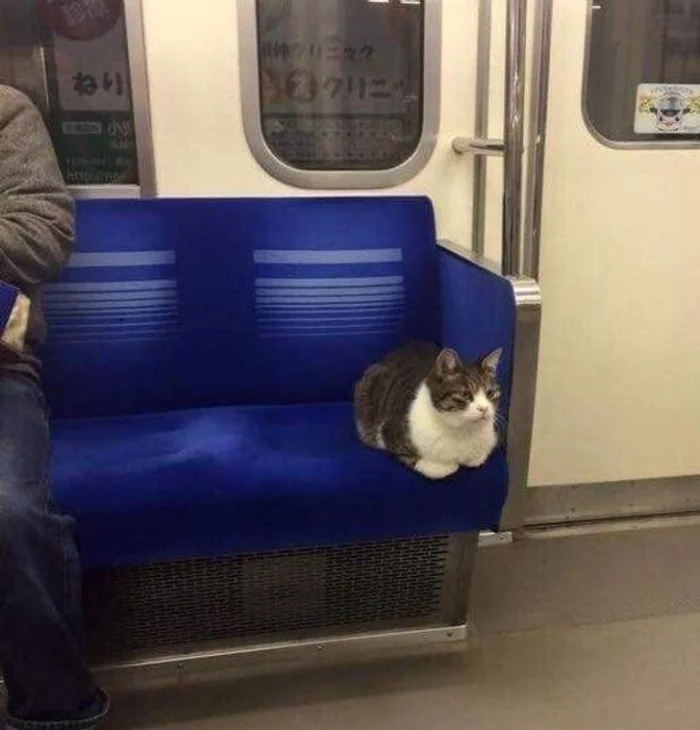 Общественный транспорт: 18 безумных историй