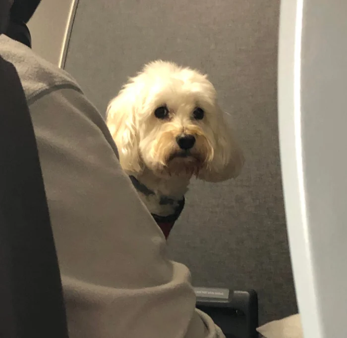 Общественный транспорт: 18 безумных историй