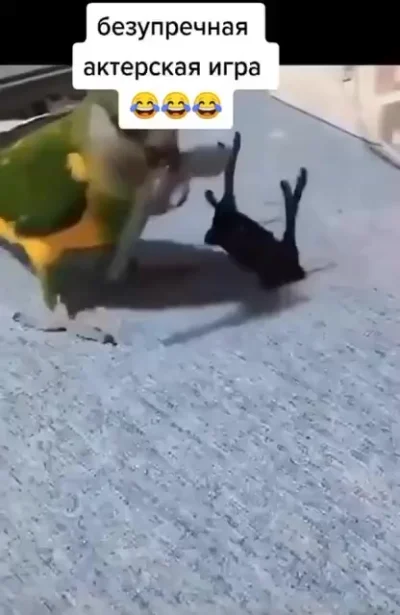 Безупречная актерская игра