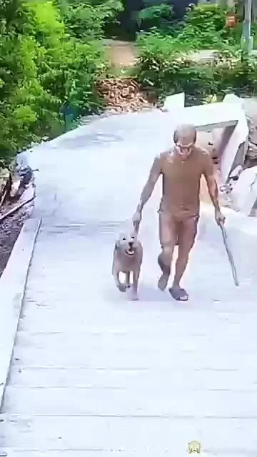 Отправился на прогулку с собакой