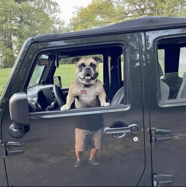 Оптические приколы: более 25 снимков, на которые нужно смотреть дважды