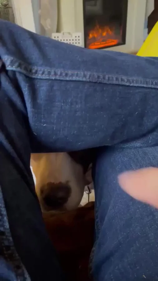 Получишь у меня сейчас