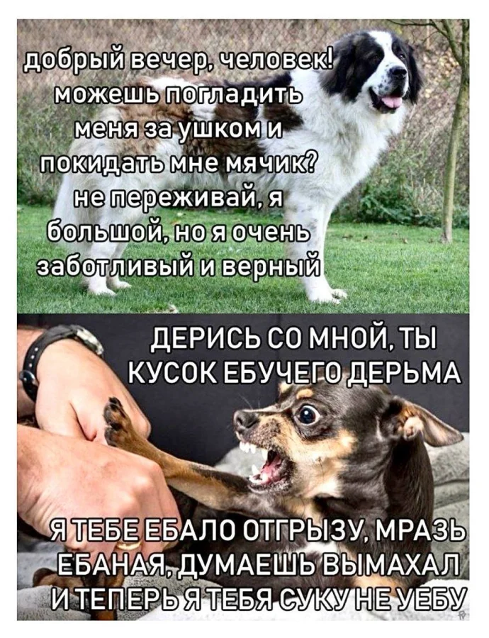 Пошлые мемы и чёрный юмор 18+ | Подборка #114