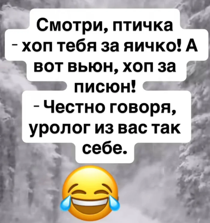 Пошлые мемы и чёрный юмор 18+ | Подборка #69