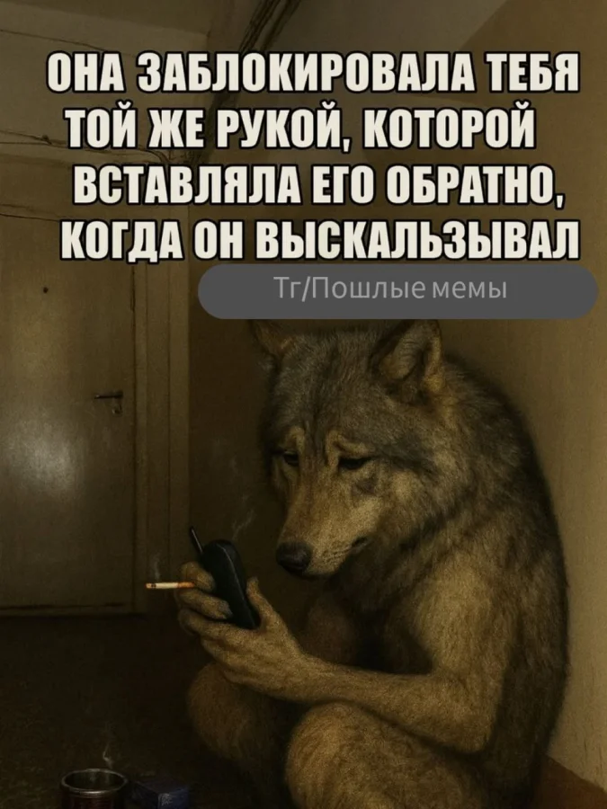 Пошлые мемы и чёрный юмор 18+ | Подборка #77