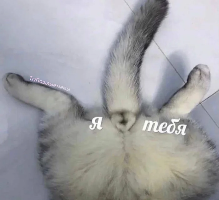 Пошлые мемы и чёрный юмор 18+ | Подборка #83