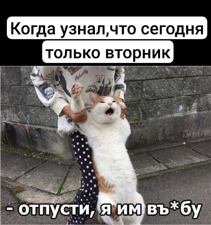 Пошлые мемы и чёрный юмор 18+ | Подборка #94