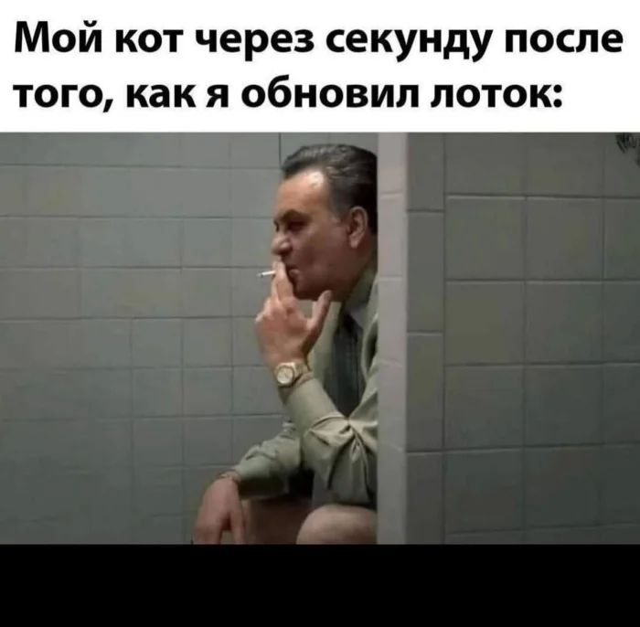 Пошлые мемы и чёрный юмор 18+ | Подборка #96