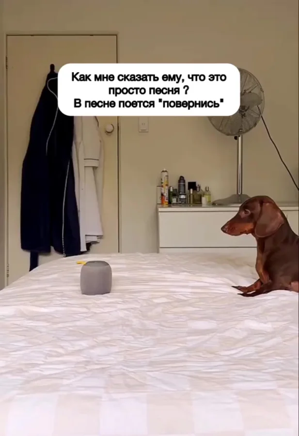 Послушание как диагноз: хроники хорошего мальчика