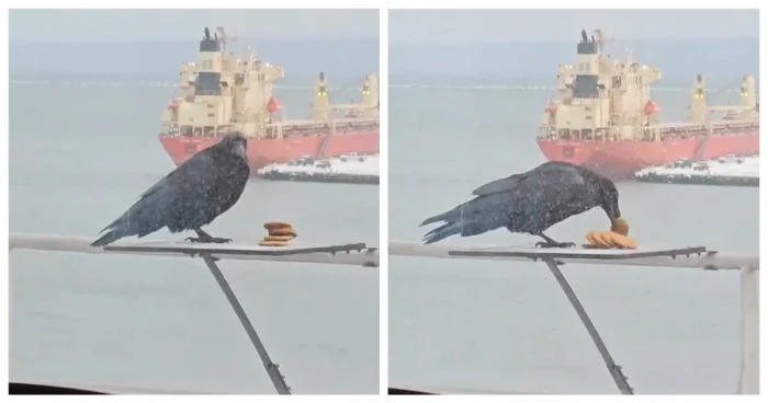 Посоветуйте что-нибудь от жадности! И желательно, чтобы хватило надолго, ооочень надолго!