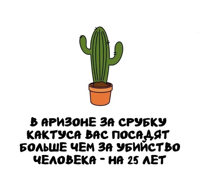 Познавательные факты для каждого