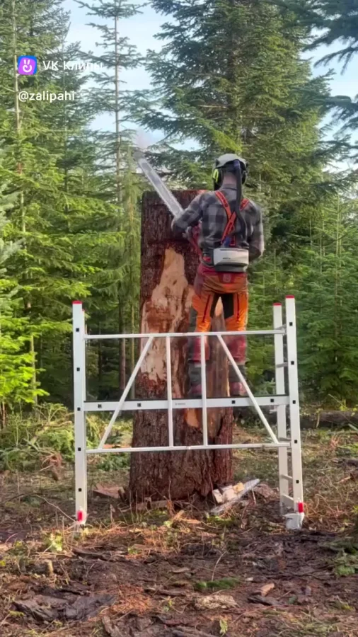 Превосходный результат!