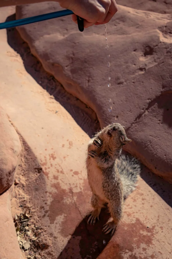 Просто фотоподборка