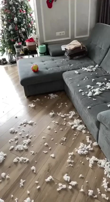 Расследование продолжается: подозреваемый не идет на сделку со следствием