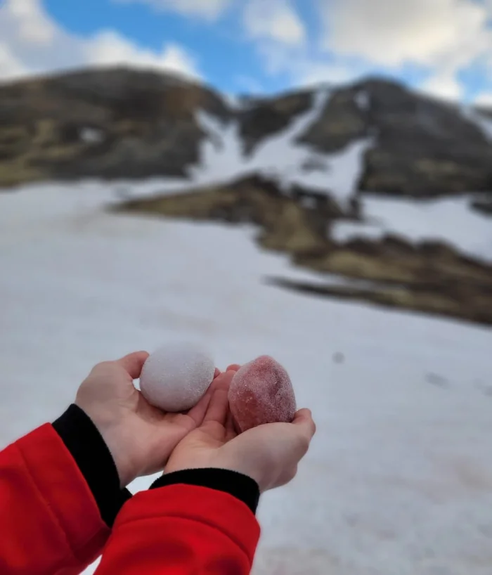 🍉 Розовый снег, который пахнет арбузом — где найти это чудо в России