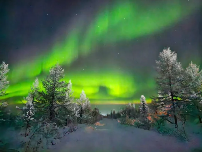 ✨ Северное сияние над Якутией — танец света на зимнем небе