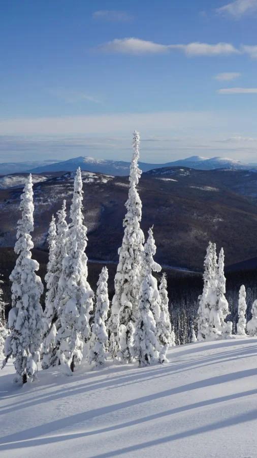❄️ Снежная сказка на горе Аргыджек