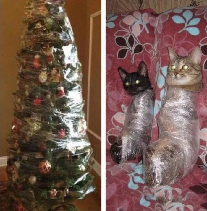 Сохрани чудо и нервы: 22 проверенных метода