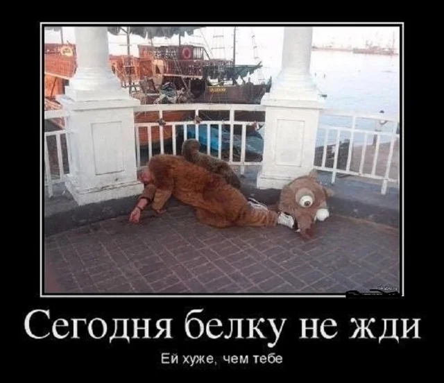 Свежо и смешно: мемы