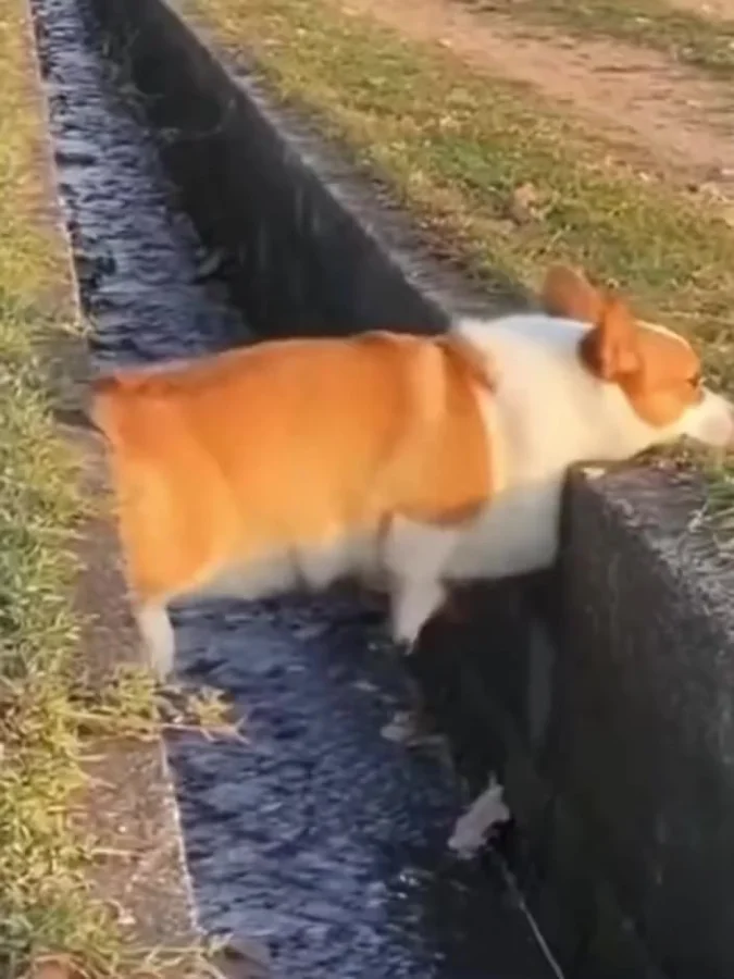 Ты что, застрял?!