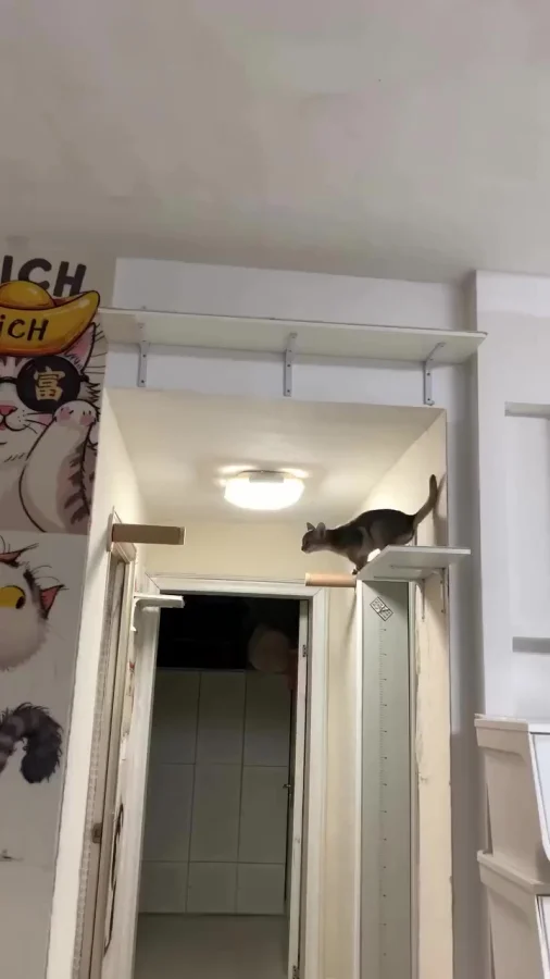 Ты почему без меня ешь?