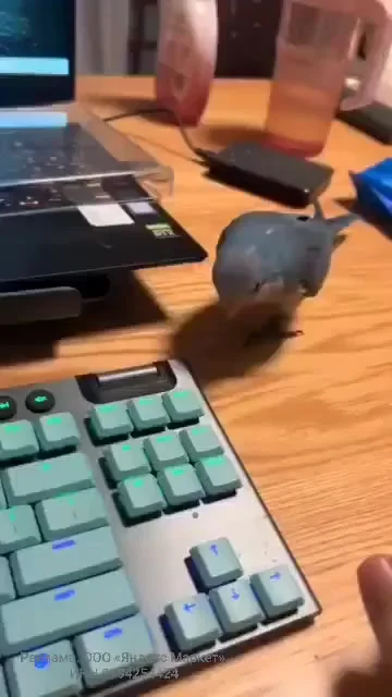 У тебя определенно есть лишние клавиши