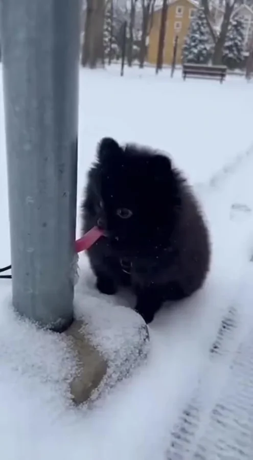 Узнаёте себя в детстве?