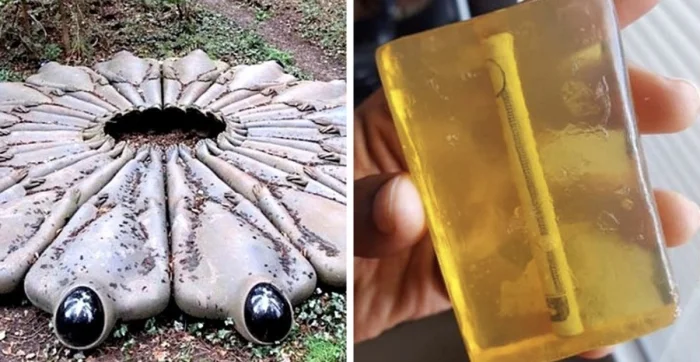 Случайные находки, которые удивили людей