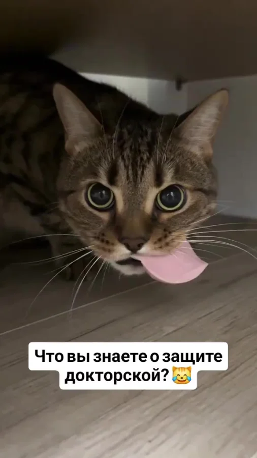 Вот так выглядит защита докторской