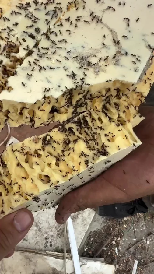 Вот вам и пеноплекс