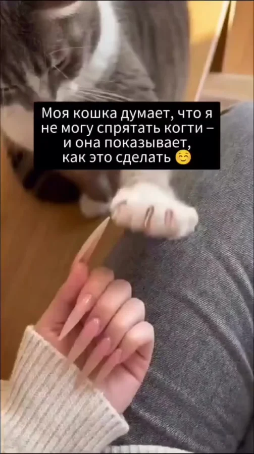 Всему то тебя учить нужно