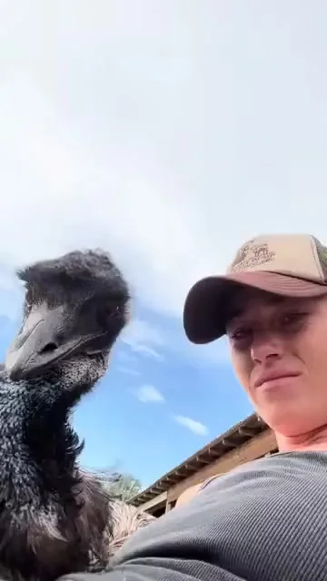 Сладкого сна