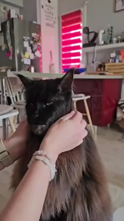 Брутальный? Неее