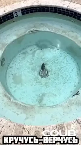 Лягушка в среду...