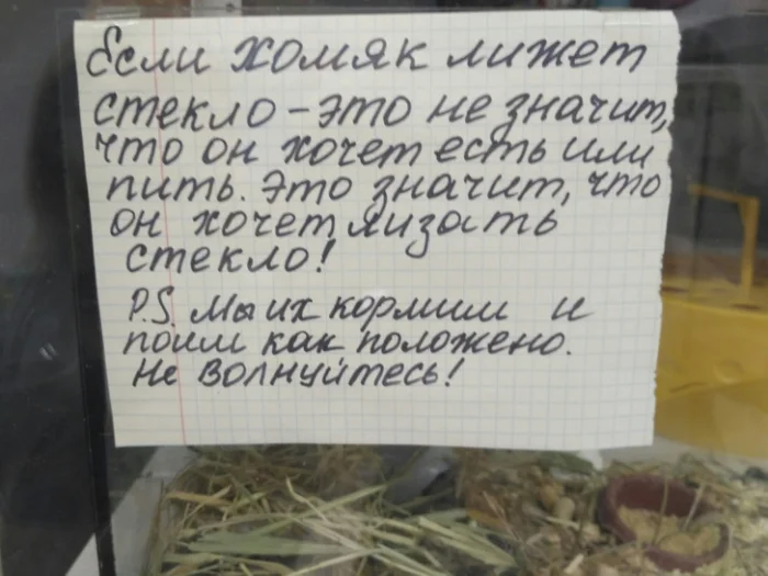 16 курьёзных историй о том, как зоомагазин неожиданно стал настоящим шоу