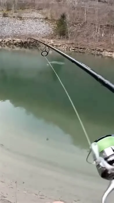 Пачяму там, у них, речки не засранные, а в них прозрачная вода и рыба хорошая водится? Доколе?